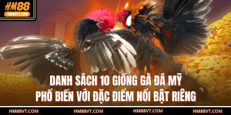 Danh sách 10 giống gà đá Mỹ phổ biến với đặc điểm nổi bật riêng