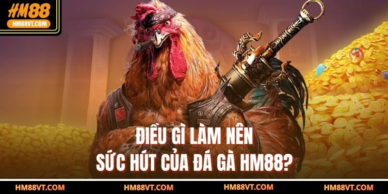 Điều gì làm nên sức hút của đá gà HM88?